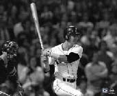 Boston Red Sox