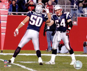 New England Patriots