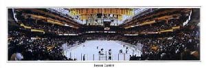 Boston Bruins