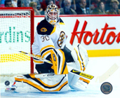 Boston Bruins