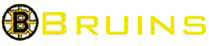 Boston Bruins
